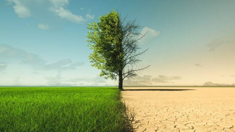 Pakistan’s Climate Crisis: A Call to Plant Hope 🌱