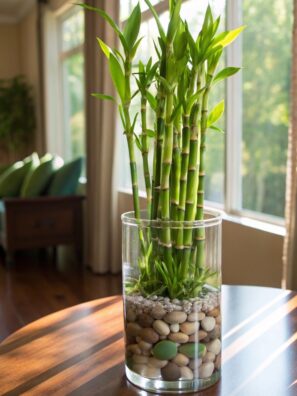 Lucky Bamboo